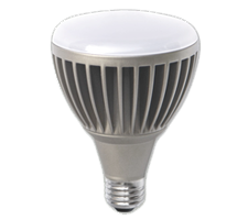 BR 30 LED Replacement Bulb
